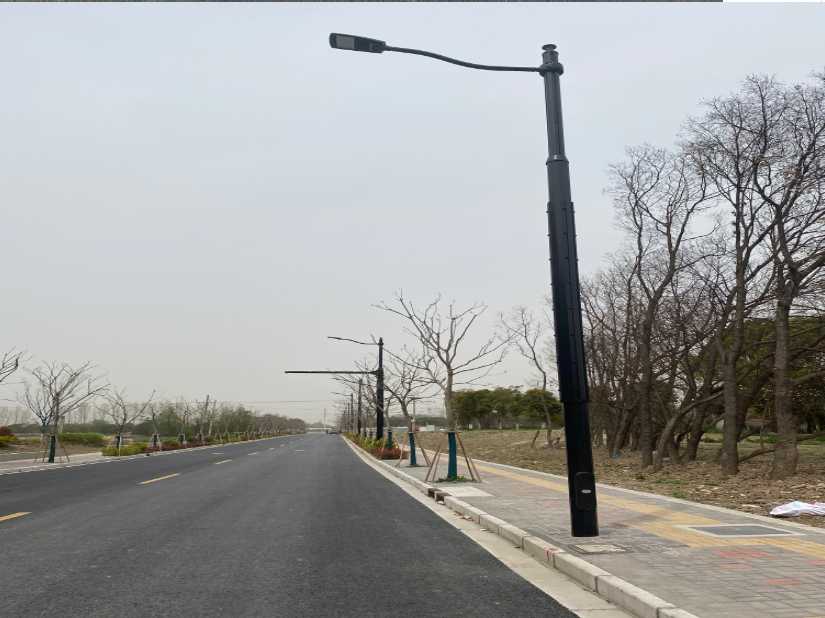 荣昌区上海综合杆 太阳能路灯工程
